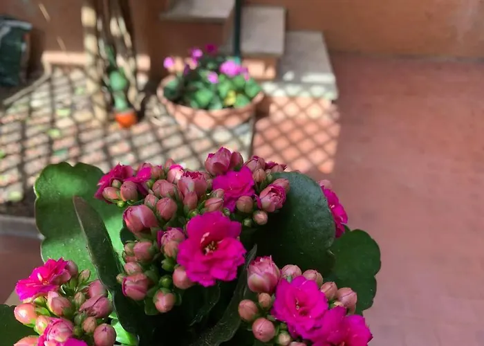 Appartamento Casa Con Giardinetto Al Centro Di *